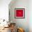 A Wet Tomato on a Red Surface-Dave King-Framed Photographic Print displayed on a wall