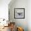 A Whale's Tail-Andreas Stridsberg-Framed Giclee Print displayed on a wall