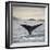 A Whale's Tail-Andreas Stridsberg-Framed Giclee Print