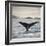 A Whale's Tail-Andreas Stridsberg-Framed Giclee Print