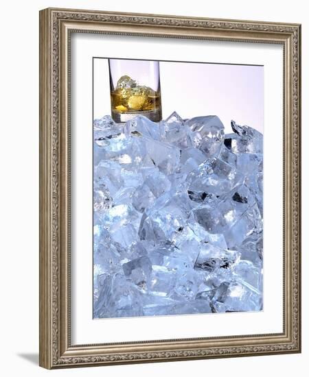 A Whiskey Glass on a Mountain of Ice Cubes-Michael Meisen-Framed Photographic Print