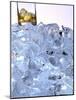 A Whiskey Glass on a Mountain of Ice Cubes-Michael Meisen-Mounted Photographic Print