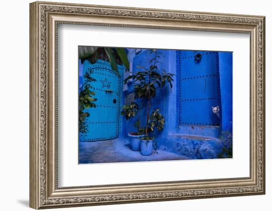 A white cat peeks out a blue door. Chefchaouen, Morocco-Karine Aigner-Framed Photographic Print