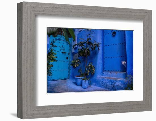 A white cat peeks out a blue door. Chefchaouen, Morocco-Karine Aigner-Framed Photographic Print