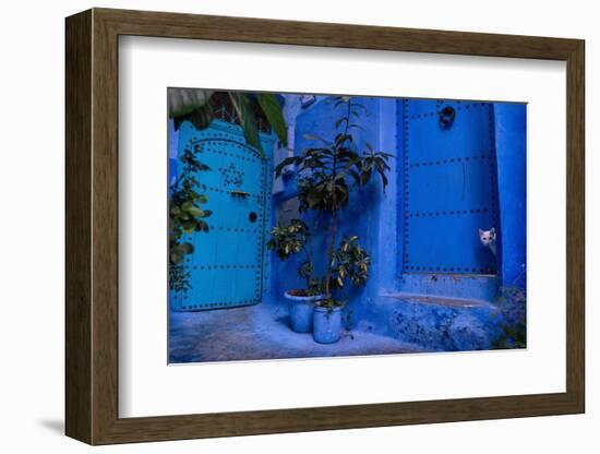 A white cat peeks out a blue door. Chefchaouen, Morocco-Karine Aigner-Framed Photographic Print