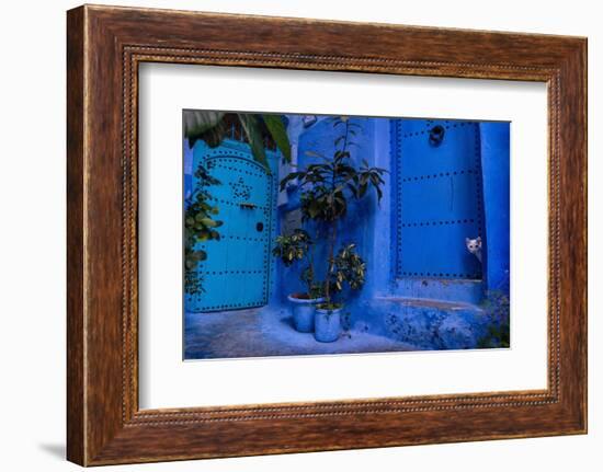 A white cat peeks out a blue door. Chefchaouen, Morocco-Karine Aigner-Framed Photographic Print