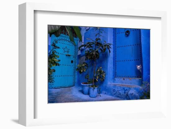 A white cat peeks out a blue door. Chefchaouen, Morocco-Karine Aigner-Framed Photographic Print