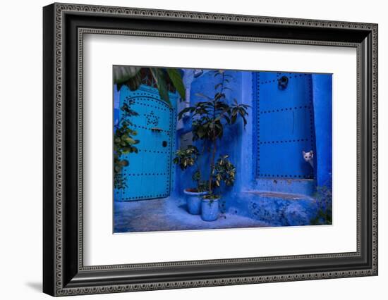 A white cat peeks out a blue door. Chefchaouen, Morocco-Karine Aigner-Framed Photographic Print