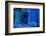 A white cat peeks out a blue door. Chefchaouen, Morocco-Karine Aigner-Framed Photographic Print