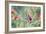 A White-Chinned Sapphire Hummingbird (Hylocharis Cyanus) Perches on a Branch in Brazil-Alex Saberi-Framed Photographic Print