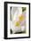 A White Crocus in a Garden in Portsmouth, New Hampshire-Jerry & Marcy Monkman-Framed Photographic Print