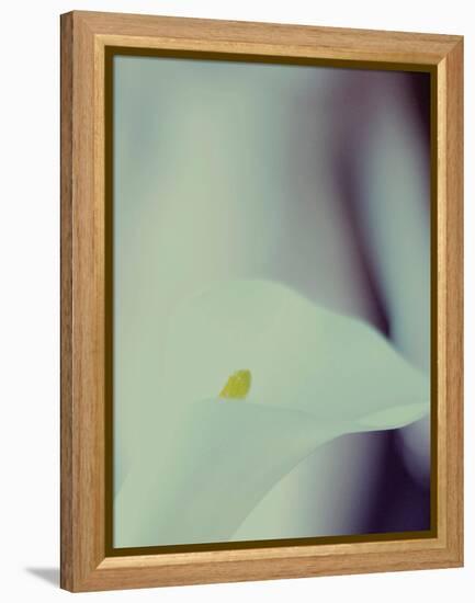 A White Lily Covering a Nude Female Figure-India Hobson-Framed Premier Image Canvas