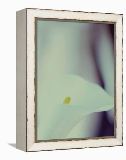 A White Lily Covering a Nude Female Figure-India Hobson-Framed Premier Image Canvas