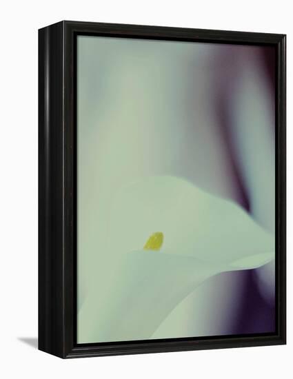 A White Lily Covering a Nude Female Figure-India Hobson-Framed Premier Image Canvas