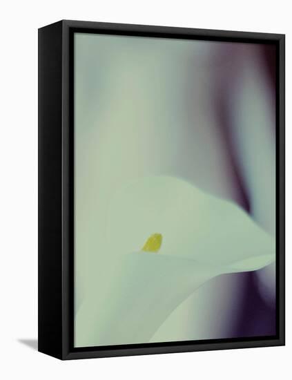 A White Lily Covering a Nude Female Figure-India Hobson-Framed Premier Image Canvas