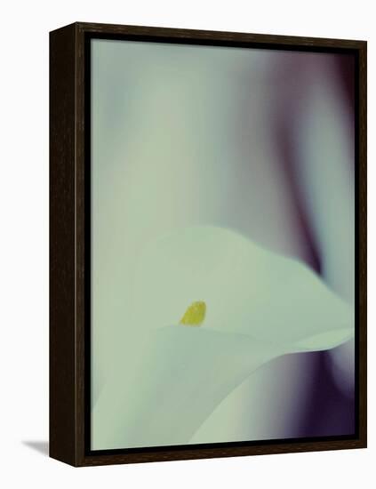 A White Lily Covering a Nude Female Figure-India Hobson-Framed Premier Image Canvas