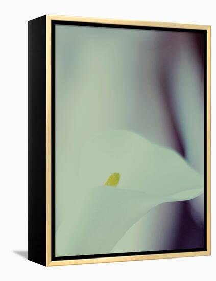 A White Lily Covering a Nude Female Figure-India Hobson-Framed Premier Image Canvas