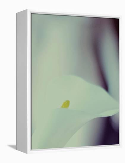 A White Lily Covering a Nude Female Figure-India Hobson-Framed Premier Image Canvas