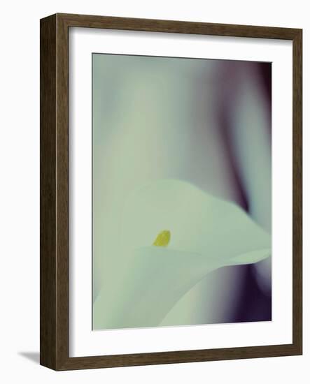 A White Lily Covering a Nude Female Figure-India Hobson-Framed Photographic Print