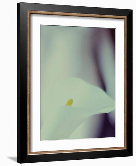 A White Lily Covering a Nude Female Figure-India Hobson-Framed Photographic Print