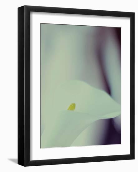 A White Lily Covering a Nude Female Figure-India Hobson-Framed Photographic Print