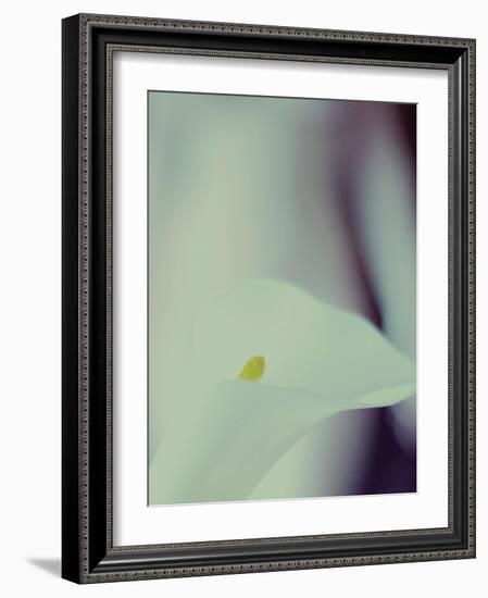 A White Lily Covering a Nude Female Figure-India Hobson-Framed Photographic Print