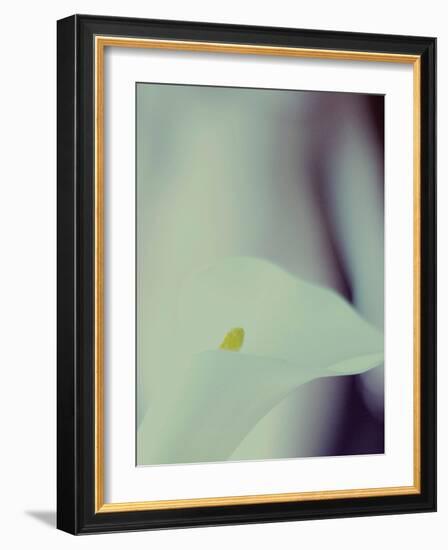 A White Lily Covering a Nude Female Figure-India Hobson-Framed Photographic Print