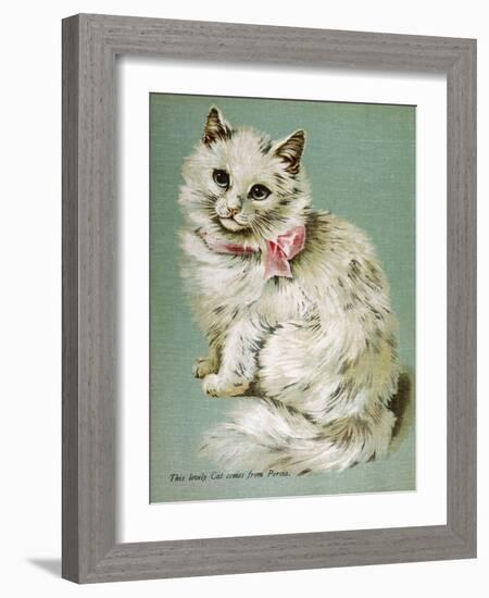 A White Persian Cat with a Pink Ribbon-null-Framed Art Print