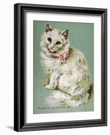 A White Persian Cat with a Pink Ribbon-null-Framed Art Print