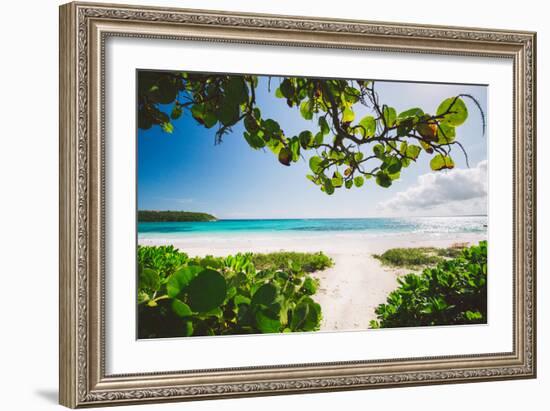 A White Sand Beach On The Island Of Eleuthera, The Bahamas-Erik Kruthoff-Framed Photographic Print