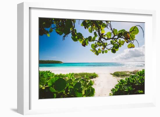 A White Sand Beach On The Island Of Eleuthera, The Bahamas-Erik Kruthoff-Framed Photographic Print