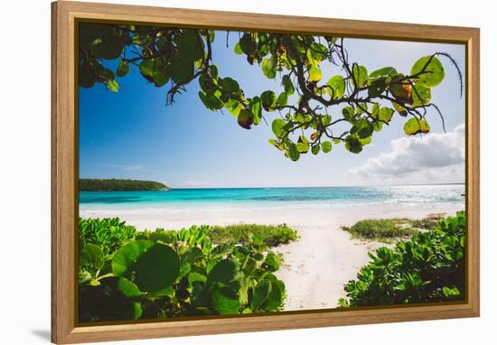 A White Sand Beach On The Island Of Eleuthera, The Bahamas-Erik Kruthoff-Framed Premier Image Canvas