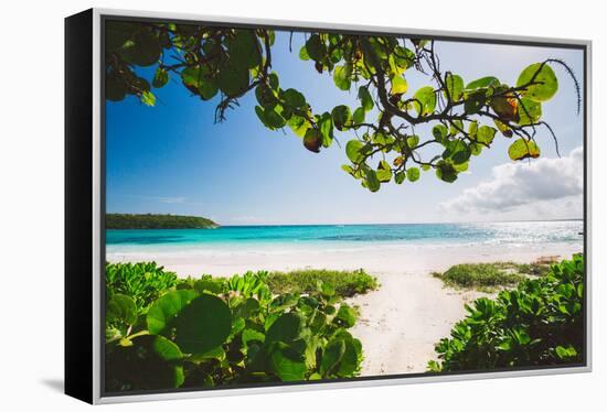 A White Sand Beach On The Island Of Eleuthera, The Bahamas-Erik Kruthoff-Framed Premier Image Canvas