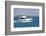 A White Sport Fishing Boat, Flying the US Yacht Ensign, Heads towards the Open Sea.-Gary Blakeley-Framed Photographic Print