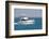 A White Sport Fishing Boat, Flying the US Yacht Ensign, Heads towards the Open Sea.-Gary Blakeley-Framed Photographic Print