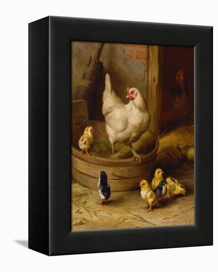 A White Sussex and a Buff Sussex with Chicks-Robert Morley-Framed Premier Image Canvas