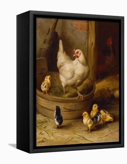 A White Sussex and a Buff Sussex with Chicks-Robert Morley-Framed Premier Image Canvas