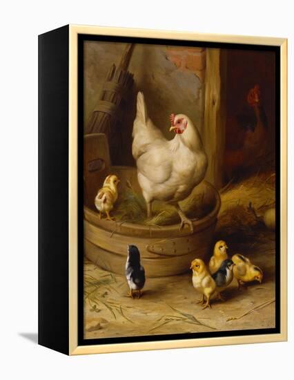 A White Sussex and a Buff Sussex with Chicks-Robert Morley-Framed Premier Image Canvas