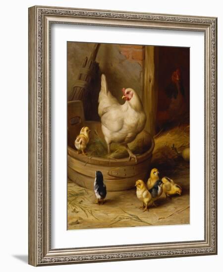 A White Sussex and a Buff Sussex with Chicks-Robert Morley-Framed Giclee Print