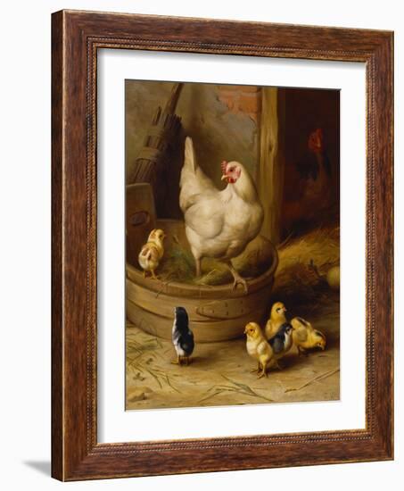 A White Sussex and a Buff Sussex with Chicks-Robert Morley-Framed Giclee Print