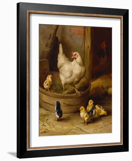 A White Sussex and a Buff Sussex with Chicks-Robert Morley-Framed Giclee Print