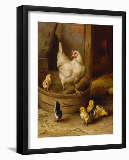 A White Sussex and a Buff Sussex with Chicks-Robert Morley-Framed Giclee Print