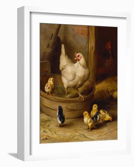 A White Sussex and a Buff Sussex with Chicks-Robert Morley-Framed Giclee Print