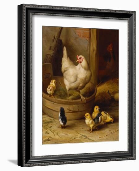 A White Sussex and a Buff Sussex with Chicks-Robert Morley-Framed Giclee Print