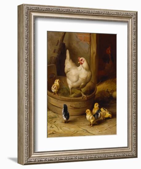 A White Sussex and a Buff Sussex with Chicks-Robert Morley-Framed Giclee Print