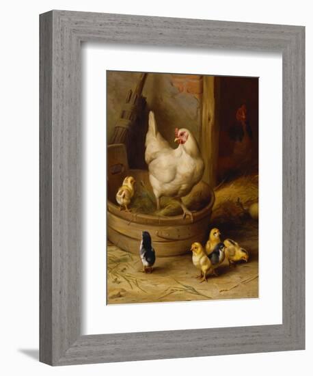 A White Sussex and a Buff Sussex with Chicks-Robert Morley-Framed Giclee Print