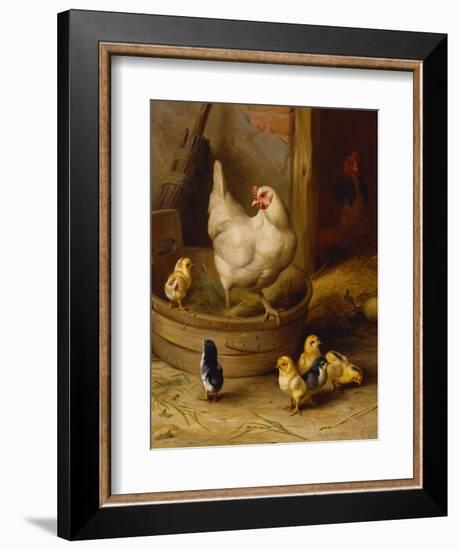 A White Sussex and a Buff Sussex with Chicks-Robert Morley-Framed Giclee Print