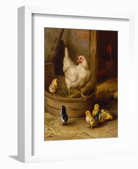 A White Sussex and a Buff Sussex with Chicks-Robert Morley-Framed Giclee Print