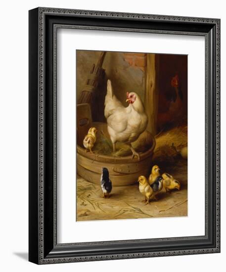 A White Sussex and a Buff Sussex with Chicks-Robert Morley-Framed Giclee Print