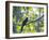 A White-Tailed Trogon on a Branch in the Atlantic Rainforest in Ubatuba, Brazil-Alex Saberi-Framed Photographic Print